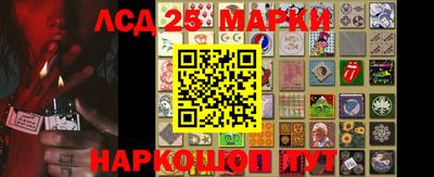 индика Брянск