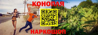 шишки Боровичи