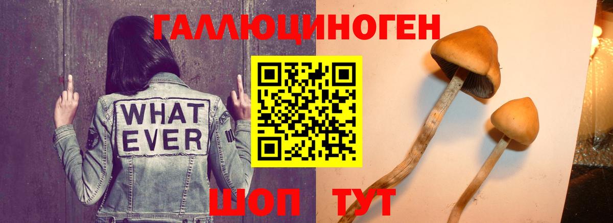 Псилоцибиновые грибы ЛСД  наркотики  Вход с VPN  Белгород  Галлюциногенные грибы ЛСД 